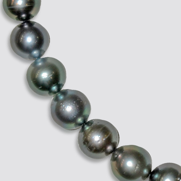 黒蝶真珠ネックレス ｜東京真珠